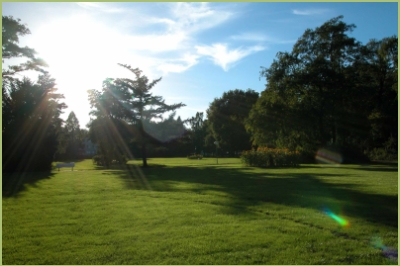 Agentur fr Zimmervermittlung Bad Waldliesborn - Tourismus - Kurpark bei Sonnenschein